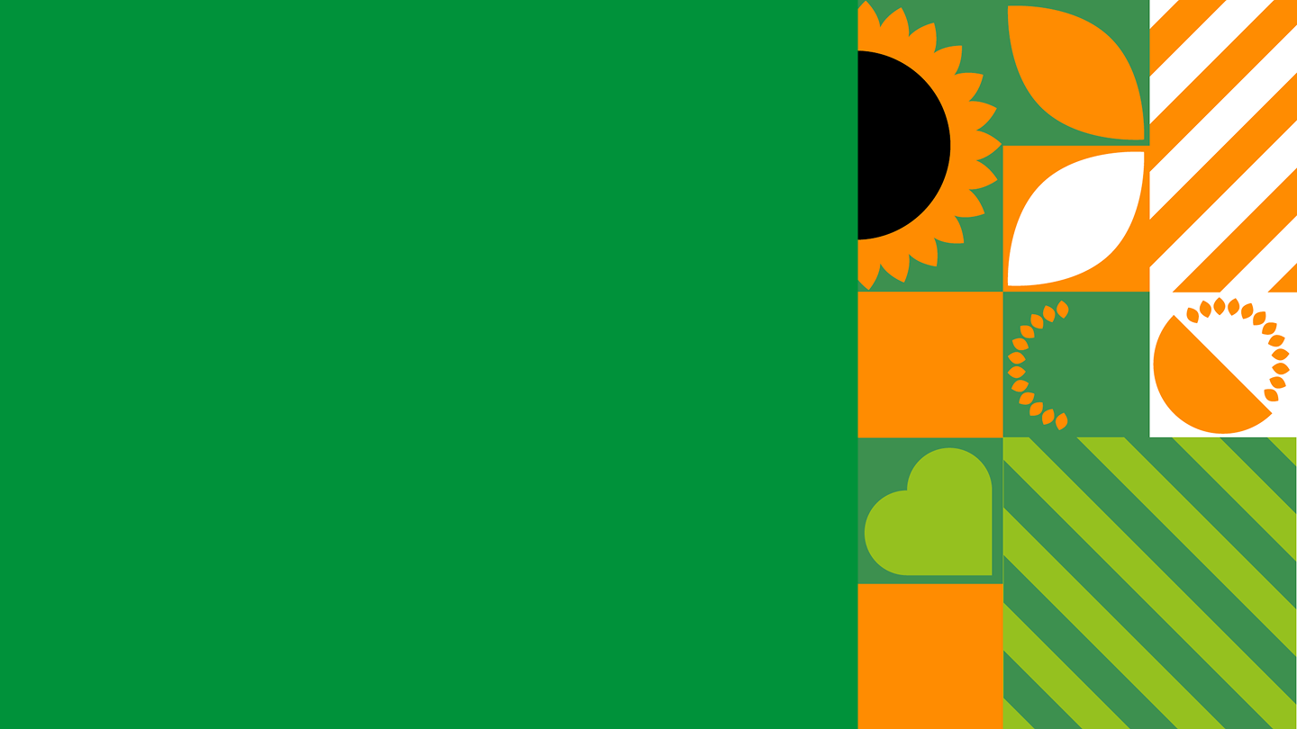 Подсолнух фон